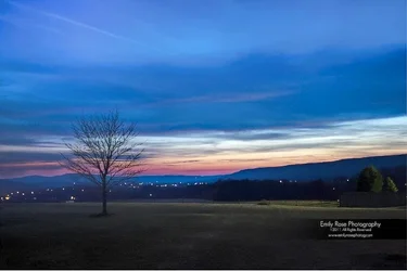 $e_rose_tpf_twilight.webp