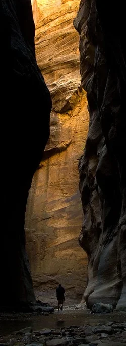 $Hiker in Canyon small.webp