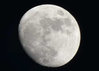 $_DSC2300.webp