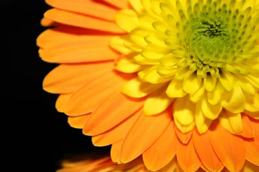 $IMG_9383.webp