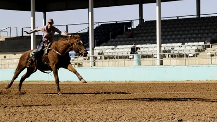 $barrel raceoctoberhappy homestretch2011.webp