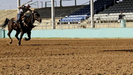 $barrel raceoctoberk girl home stretch2011.webp