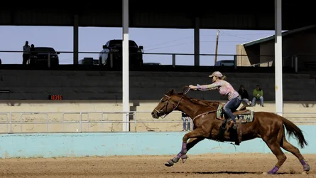 $barrel raceoctoberlets go2011.webp