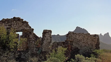 $Catch 22 Ruins Edit.webp