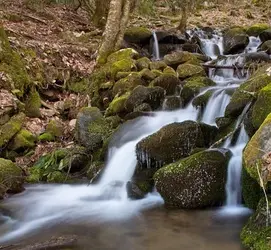 $Emerald-Falls-NC-M.webp