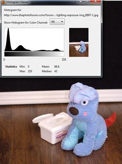 $doggy.webp