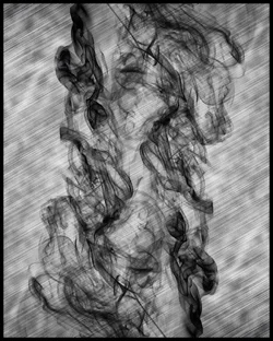 $fumidusamatorius-resized.webp