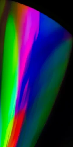 $_MG_5216.webp