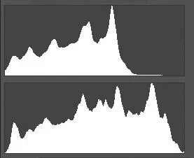 $histograms.webp
