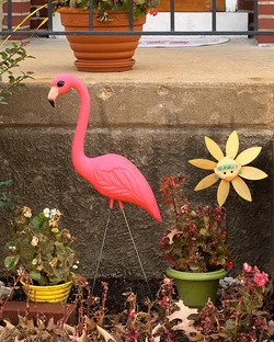 $pinkie.webp