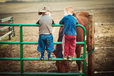$brandon cooper horse-0096-Edit-2.webp
