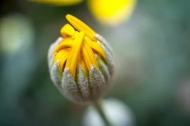 $_DSC6098.webp