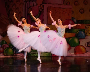 $Nutcracker-5087-X3.webp $Nutcracker-5087-X3.webp