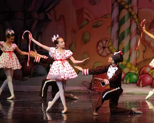 $Nutcracker-4899-X3.webp $Nutcracker-4899-X3.webp