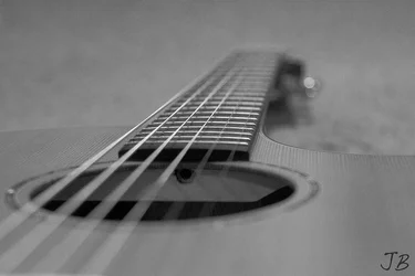 $guitar dof.webp