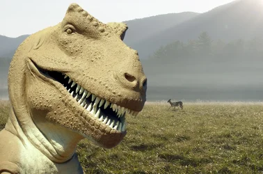 $dino.webp $dino.webp