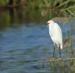 $7989538229_7524b80e06_c.webp $7989538229_7524b80e06_c.webp