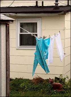 $pajamas_wnd.webp