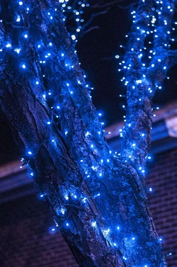 $lights.webp $lights.webp