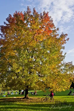 $20121020_1321.webp