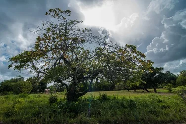 $2012Belize-0130-1.webp