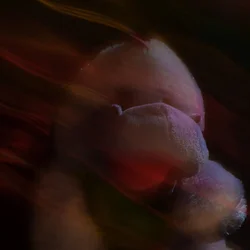 $Blurry Dino Small.webp