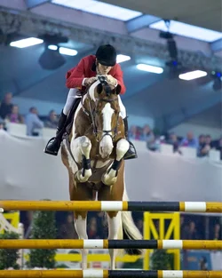 $image-3406651469.webp