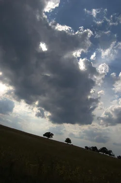 $skyline drive meadow2.webp