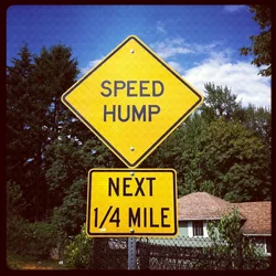 $Speed Hump_IMG_1890.webp