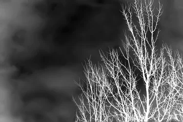 $image-4208028772111web.webp