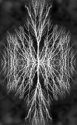 $Untitled-1web.webp