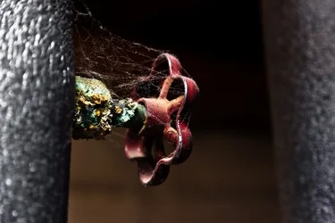$Corosion and Cobwebs-Resized-0327.webp