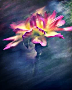 $LovelyFlower.webp