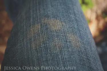 $paw print copy.webp