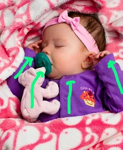$8232018593_a3529fab96_b copysmall.webp $8232018593_a3529fab96_b copysmall.webp