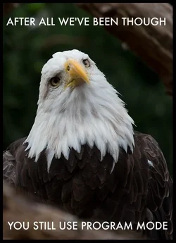$disapointed_bird.webp