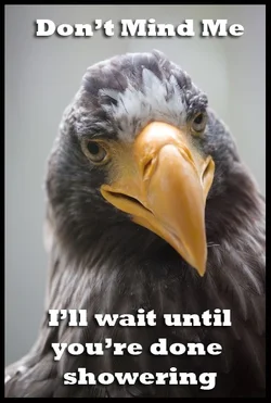 $birdmeme2.webp