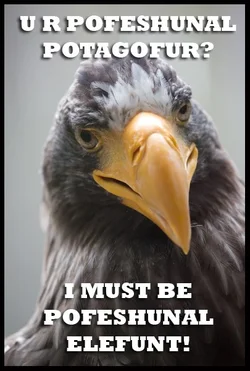 $birdmeme3.webp