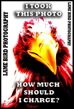 $birdmemelame.webp
