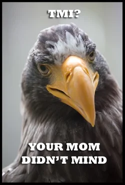 $birdmeme4.webp