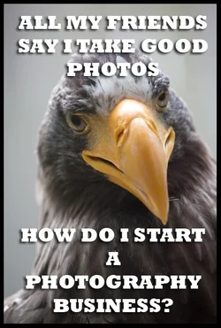 $birdmeme6.webp