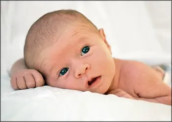 $baby.webp