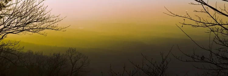 $Untitled_Panorama1.webp