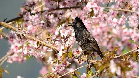 $_DSC0221 copy.webp