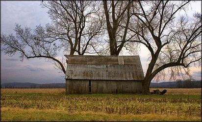 $bucolic.webp $bucolic.webp