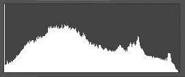 $histogram.webp $histogram.webp