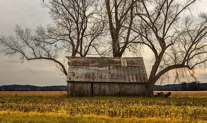 $bucolic_mo.webp