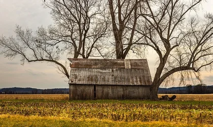 $bucolic_mo.webp $bucolic_mo.webp