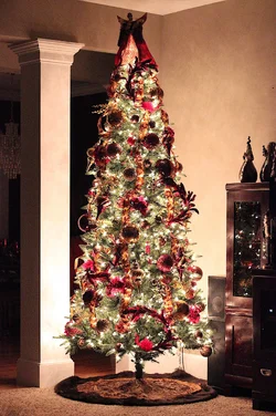 $IMG_0947.webp