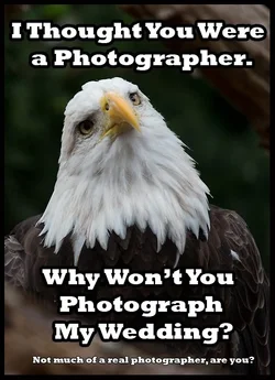 $birdmemeA4.webp